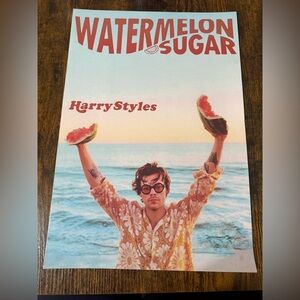 Harry Styles Watermelon Sugar Poster - Pink, Blue, Coral